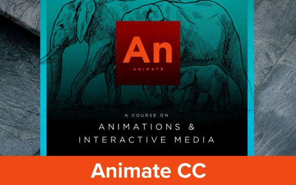 Adobe Animate Self Paced Course - Image 3