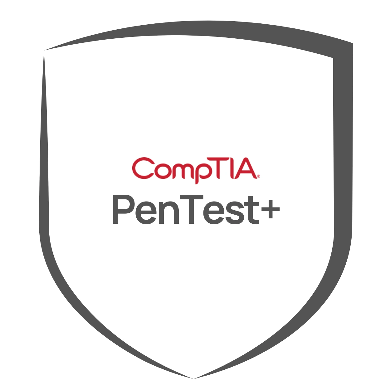 CompTIA Pentest+